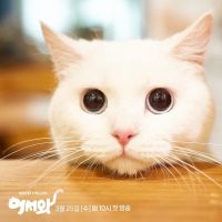 [K-Drama] Meow the Secret Boy